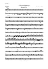 Skärgardsshyllning – Stimmen Cello, Kontrabass